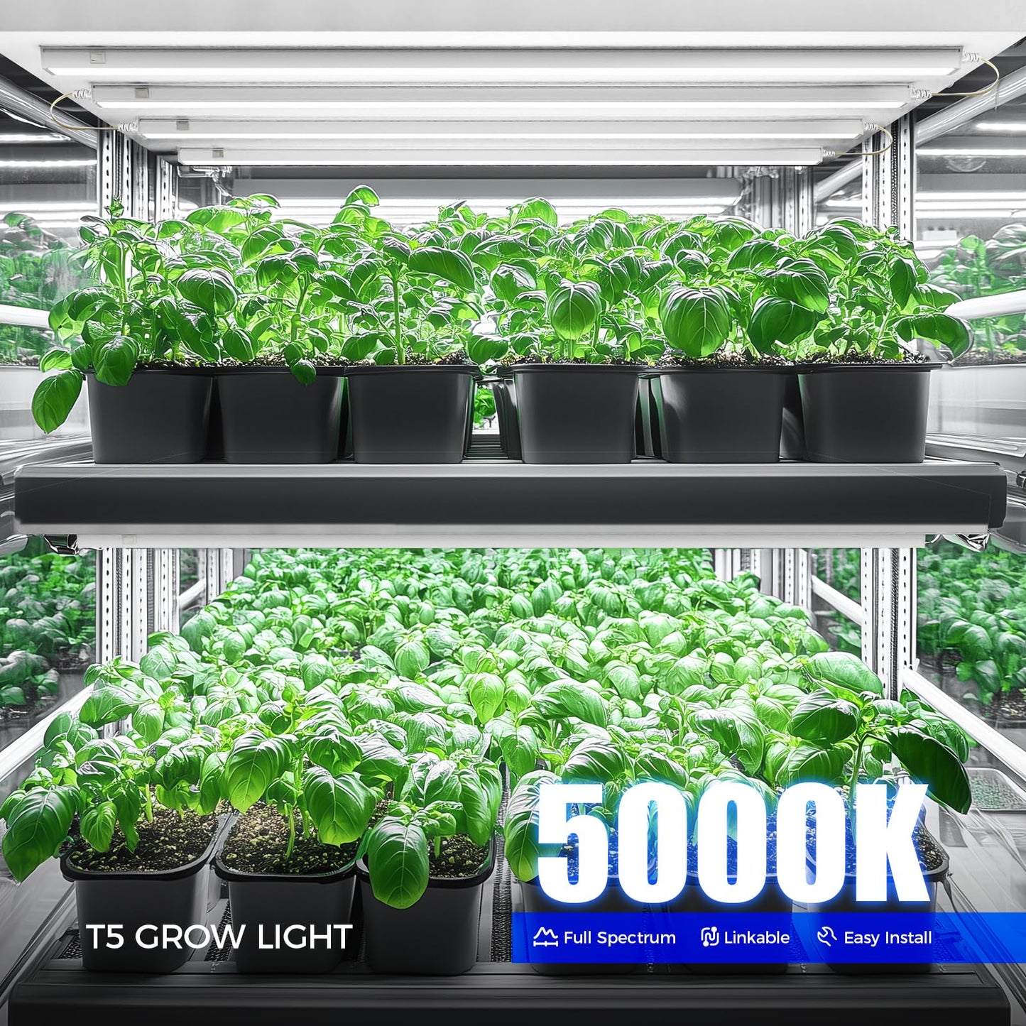 Barrina T5 Grow Light, 128W Full Spectrum, 3FT, White Cover, Model MI16, Linkable, Indoor Plant Lamp, 8 Packs